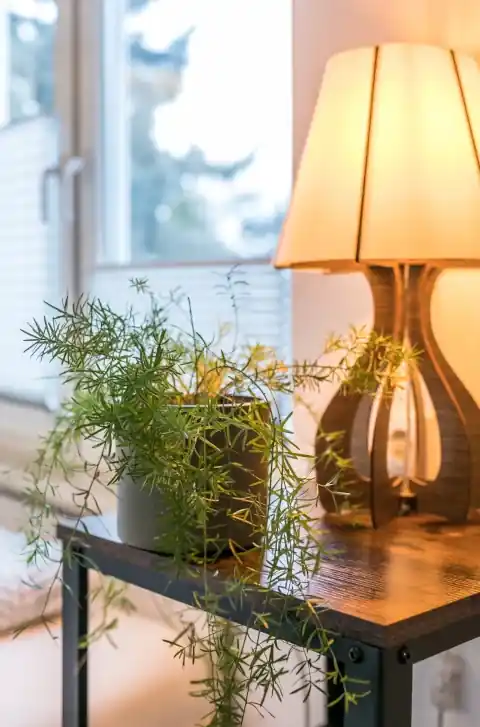 Lampe